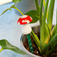 Mushroom Moisture Meter: Know When to Water!