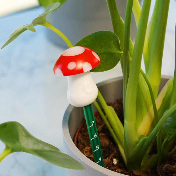 Mushroom Moisture Meter - Ziya Blue