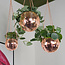 Disco Ball Planter: Rose Gold Groove