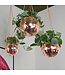 Disco Ball Planter: Rose Gold Groove