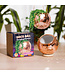 Disco Ball Planter: Rose Gold Groove