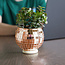 Disco Ball Planter: Rose Gold Groove
