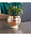 Disco Ball Planter: Rose Gold Groove