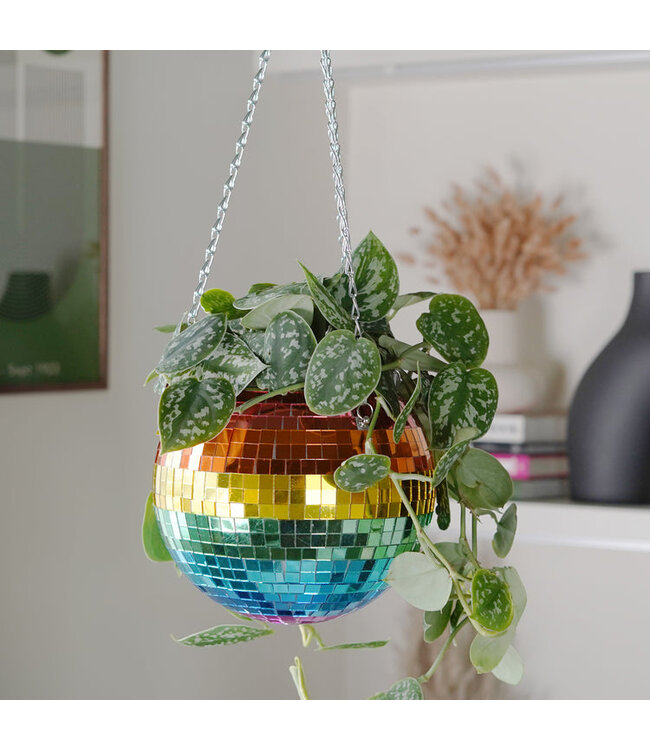 Rainbow Disco Planter: Groovy Garden Glam
