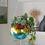 Rainbow Disco Planter: Groovy Garden Glam