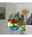 Rainbow Disco Planter: Groovy Garden Glam