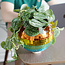 Rainbow Disco Planter: Groovy Garden Glam
