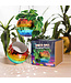 Rainbow Disco Planter: Groovy Garden Glam