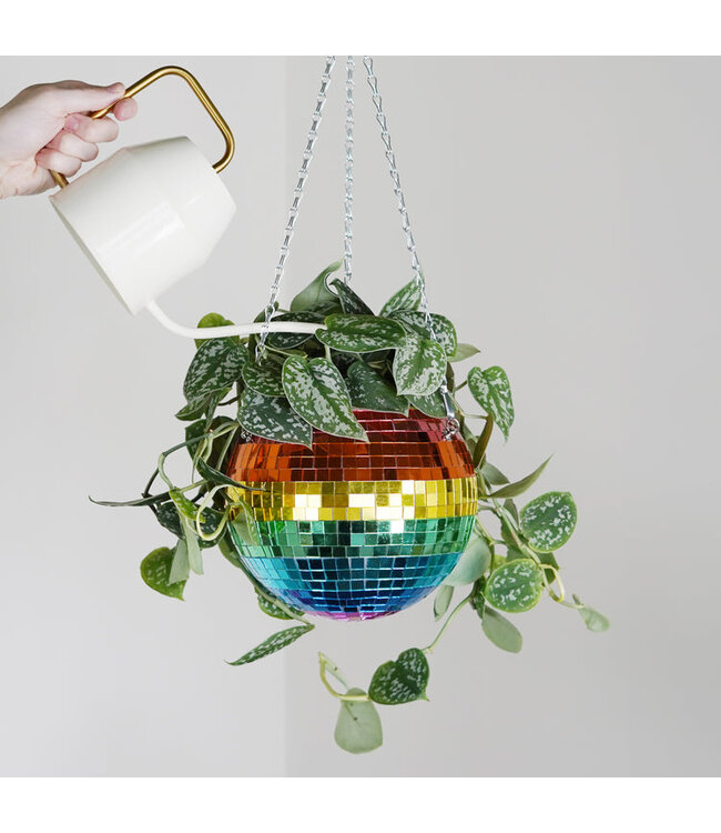 Rainbow Disco Planter: Groovy Garden Glam