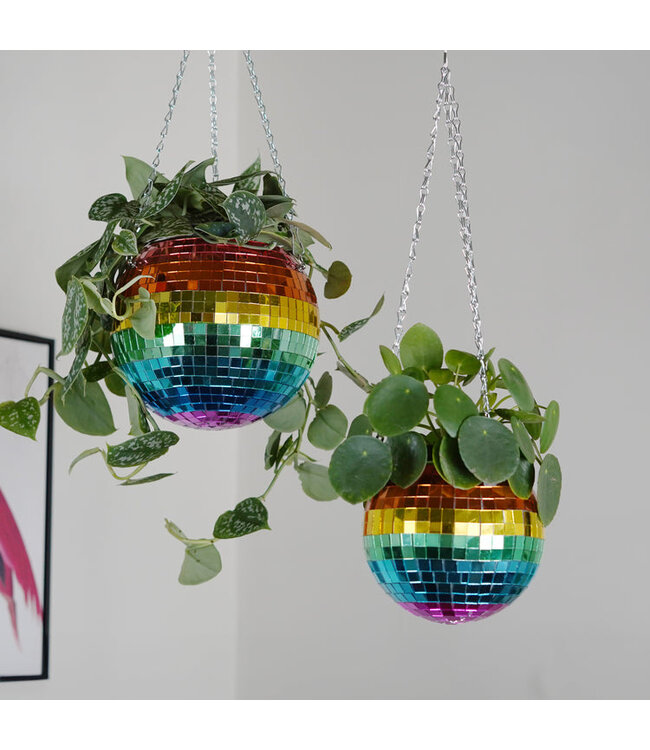 Rainbow Disco Planter: Groovy Garden Glam