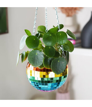 Bubblegum Stuff Disco Ball Hanging Planter - Rainbow (6in)