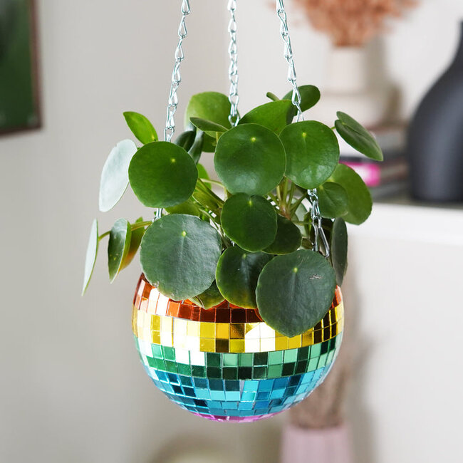 Rainbow Disco Planter: Light Up Your Garden!