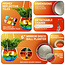Rainbow Disco Planter: Light Up Your Garden!