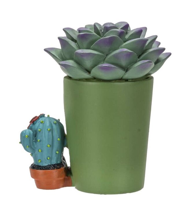 Furrybones Echy: Spooky Succulent Holder