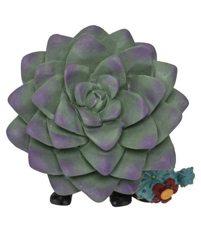 Furrybones Echy: Spooky Succulent Holder