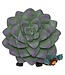 Furrybones Echy: Spooky Succulent Holder