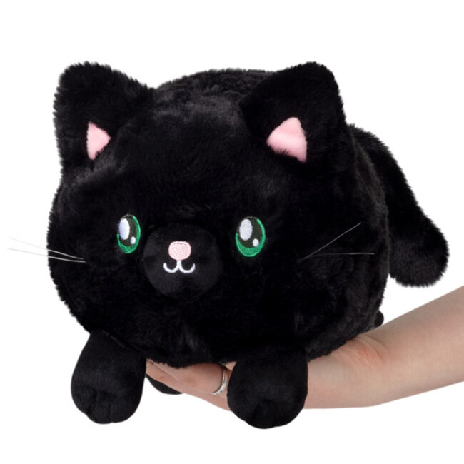 Feline Fine: Your Squishy Black Kitty!