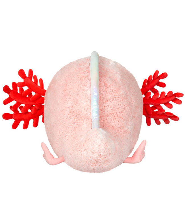 Baby Axolotl: Cute Swims & Adorable Faces!