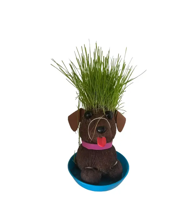 Grass Grows Here: Grow Your Own Hairy Bitch!