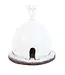 Igloo Incense Burner – Chill Vibes & Smoky Magic!