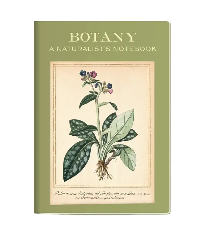 Discoveries Await: The Botany Notebook!