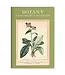 Discoveries Await: The Botany Notebook!