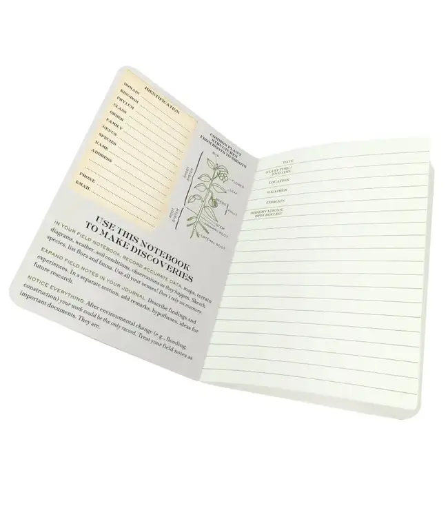 Discoveries Await: The Botany Notebook!