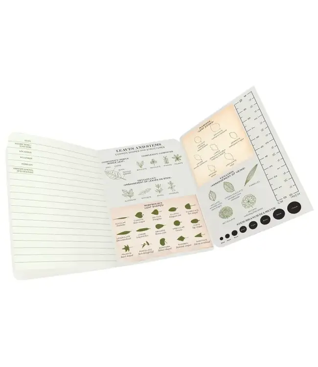 Discoveries Await: The Botany Notebook!