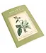 Discoveries Await: The Botany Notebook!