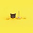 Black Cat Earrings – Purrfectly Chic!