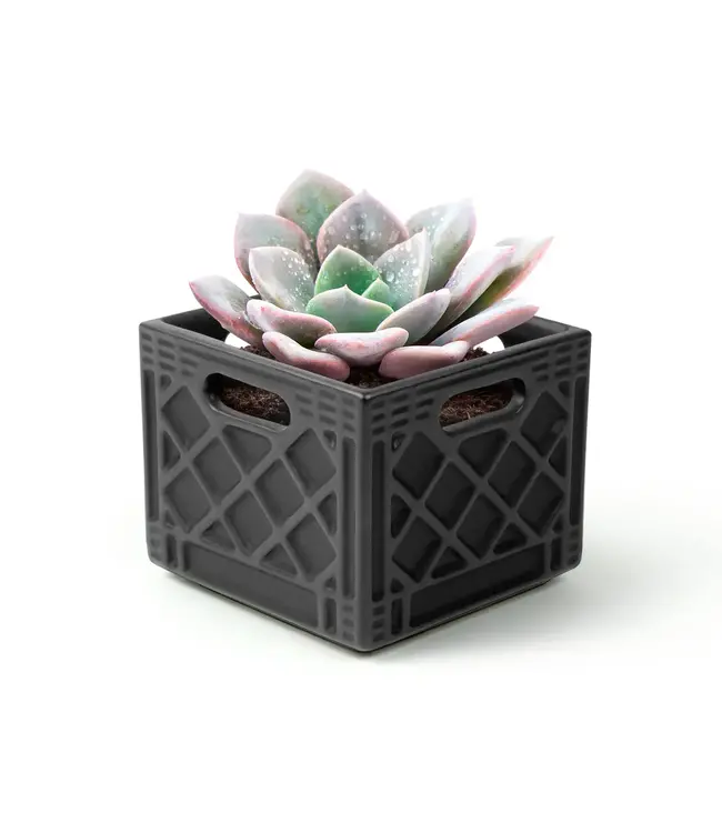 Plant Perfection: Fred’s Milk Crate Planter!