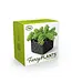 Plant Perfection: Fred’s Milk Crate Planter!