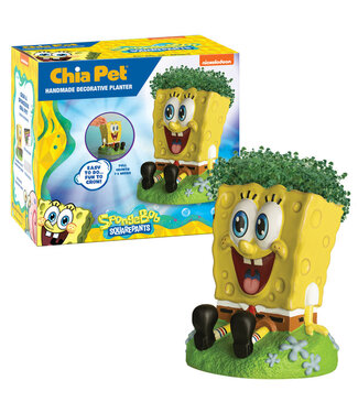 Stortz Chia Pet Sponge Bob