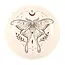 Enchanting Luna Moth Incense Holder: Elevate Your Zen!