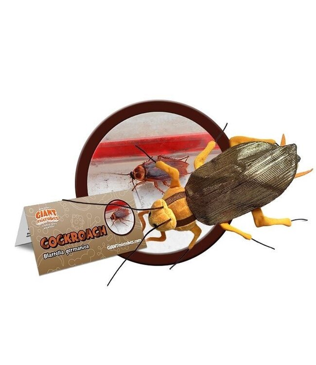 Cuddle the GIANTmicrobes Cockroach!