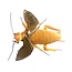 Cuddle the GIANTmicrobes Cockroach!