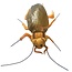 Cuddle the GIANTmicrobes Cockroach!