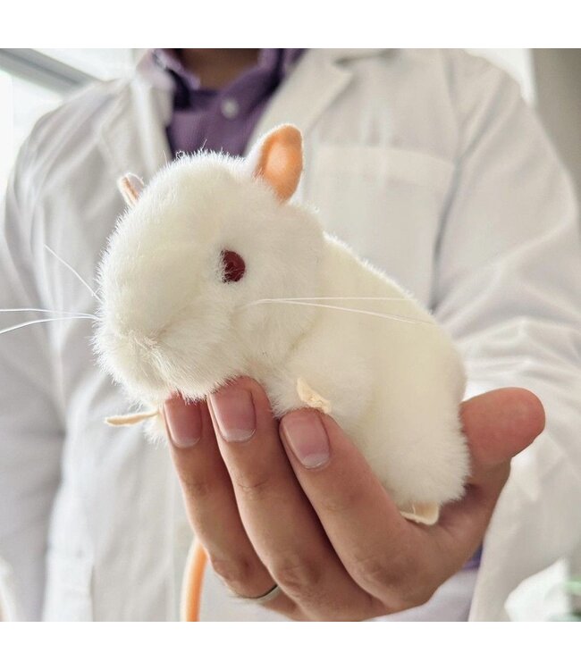 Cuddle Up with the Lab Mouse Hero!