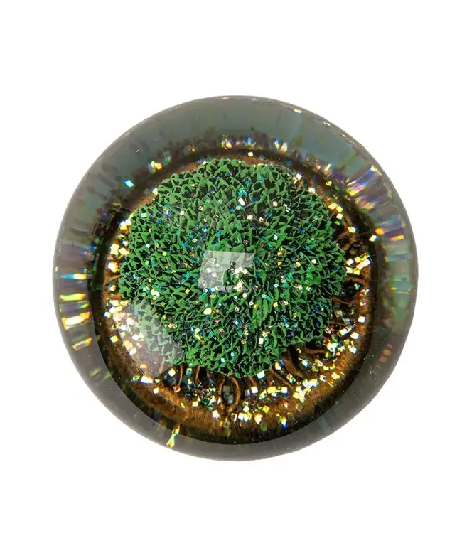 Enchanting Tree of Life Water Globe: A Splash of Nature's Magic!