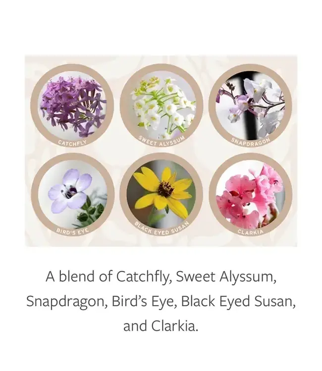 Happy Mothers Day with Pink Flowers Plantable Greeting Card Wildflowers