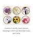 Happy Mothers Day with Pink Flowers Plantable Greeting Card Wildflowers