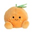 Tangie Orange™: Your Sunny Cuddle Buddy!