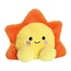 "Rae Sun: Your Pocket-Sized Guardian Star!"