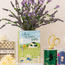Classic Charm: The Anne of Green Vases!