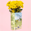 Classic Charm: The Anne of Green Vases!