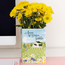 Classic Charm: The Anne of Green Vases!