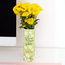 Classic Charm: The Anne of Green Vases!