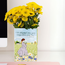 Classic Charm: The Anne of Green Vases!