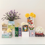 Emma Book Vase: Where Literature Meets Bloom!