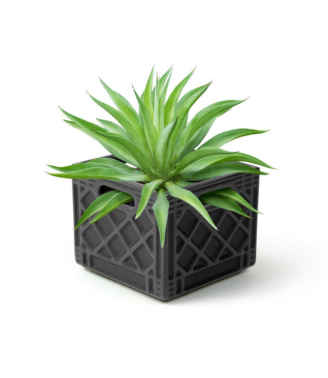 Plant Perfection: Fred’s Milk Crate Planter!